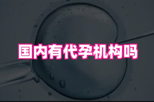 香港助孕网 2
