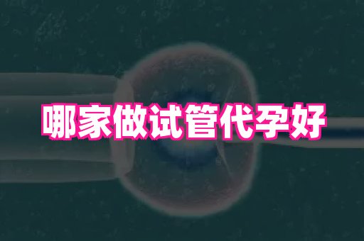 香港助孕网 3